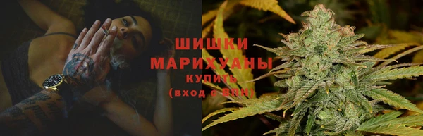 a pvp Белокуриха